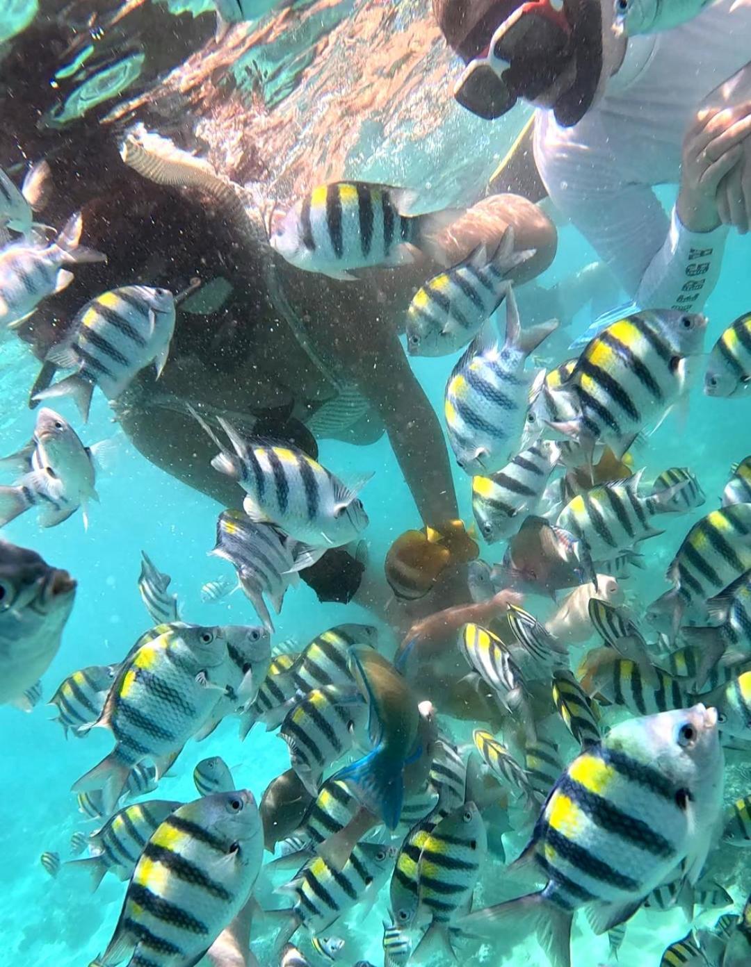 Gili Mesari Cottages&Homestay Gili Trawangan Esterno foto